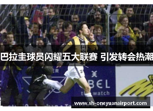 巴拉圭球员闪耀五大联赛 引发转会热潮